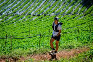 BIB: 2220
                            <button type="button" onclick="openModal(19164745)" class="btn btn-primary btn-sm float-right btn-popup" data-toggle="modal" data-target=".modal-high-quality">
                        <i class="fas fa-shopping-cart"></i> Add to Cart
                    </button>
                                            <button type="button" onclick="isThisMe(19164745, true)" class="btn btn-success btn-sm float-right btn-popup btn-isme hidden" data-toggle="tooltip" data-placement="bottom" title="นี่คือรูปของคุณใช่ไหม คลิกที่นี่เพื่อเอาเข้าอัลบั้ม">
                        <i class="fas fa-plus"></i> Add to album
                    </button>
                    <button type="button" onclick="isThisMe(19164745, false)" class="btn btn-warning btn-sm float-right btn-popup btn-isnotme hidden">
                        <i class="fas fa-ban"></i> Remove from album
                    </button>